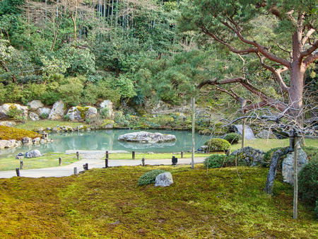 a pond in a park in japan