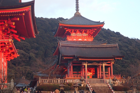 a japanese house in a park in tokyo at summerのeditorial素材