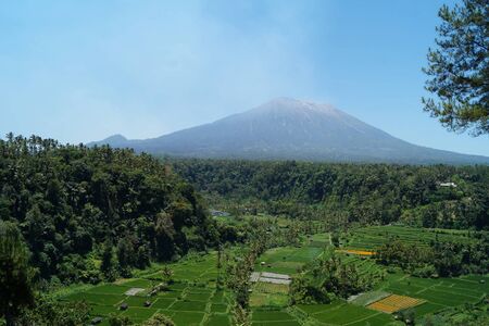 view to a park with cars in frontの写真素材