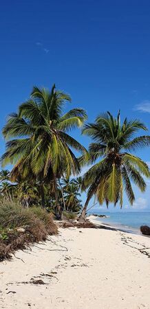 a lonely beach in summer