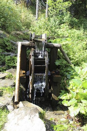 a water mill inside the forest in summer