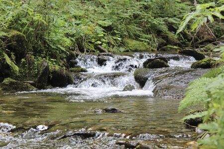 a waterfall in the forest at summerの写真素材