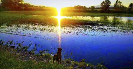 sunset over the pond in summertimeの写真素材