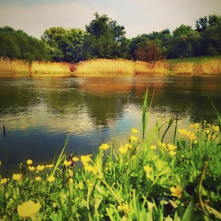 sunset over a pond in summertime