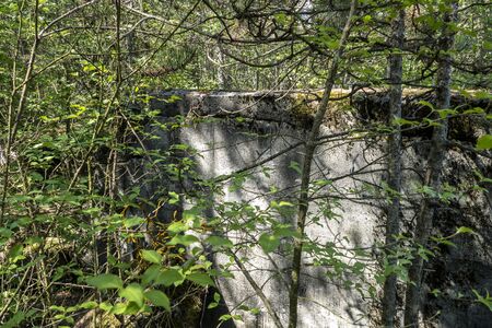 old bunker pieces in the forest from the warの写真素材