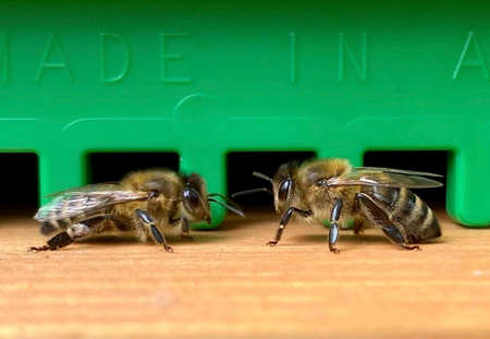 bees in a insect hotel in the garden