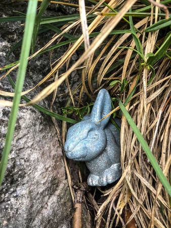 an easter bunny in the grass hiddingの写真素材