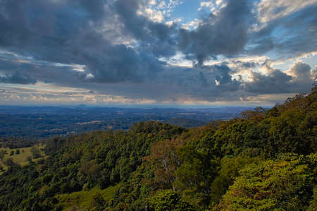 View over forest at summertime