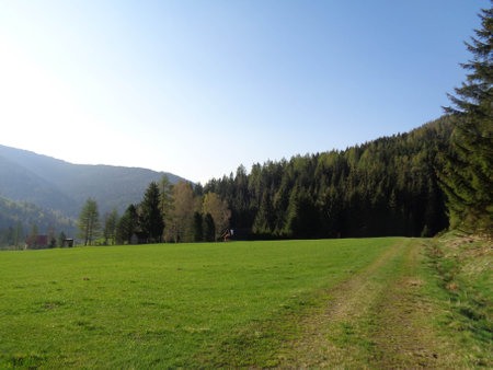 Meadow in the Carpathian Mountains, Transylvaniaの写真素材
