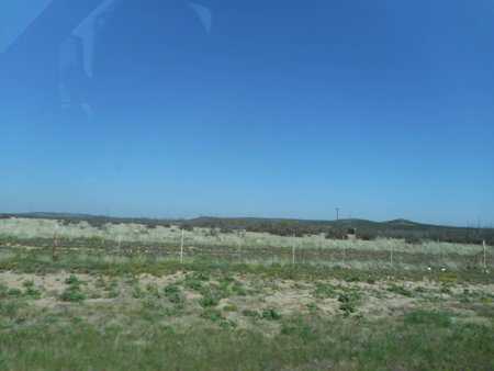 View from the window of a car moving in the desert on a sunny day.の写真素材