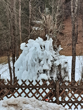 Frozen tree branches on the background of a wooden fence in winterの写真素材