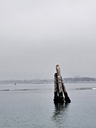 Wooden poles in the sea in a foggy winter day.の写真素材