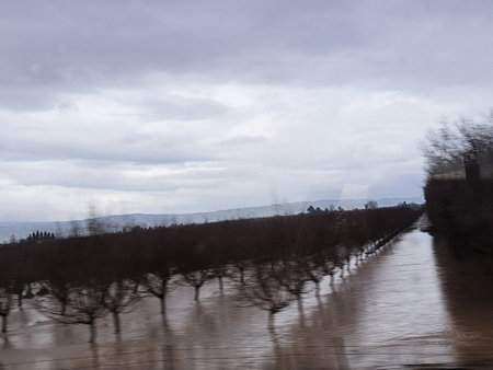 Flooded fields in Tuscany, Italy, during winterの写真素材