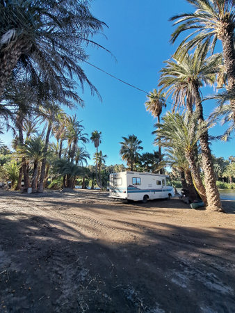 Camper on the road in the desert, palm trees and blue skyの写真素材