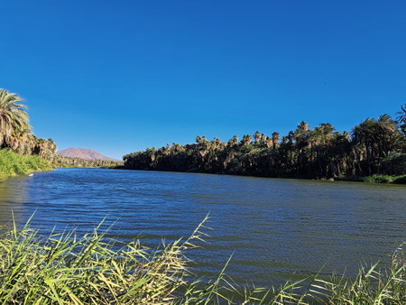 River Nile in Luxor, Egypt with palm trees and blue skyの写真素材