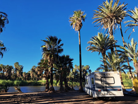 Camper trailer and palm trees on the background of blue sky.の写真素材