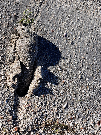 Footprint on the asphalt road. Footprint of a man.の写真素材