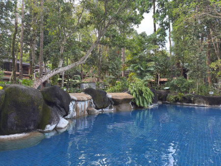 Beneath a canopy of towering trees, a serene pool glimmers in the sunlight, inviting visitors for a refreshing dip in this nature-inspired retreat.の写真素材