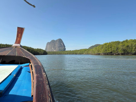 Gliding through calm waters, a wooden boat navigates a winding channel fringed with dense mangrove forests.の写真素材
