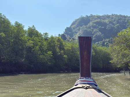 Amidst lush greenery, a wooden boat glides through calm waters. The sun shines brightly, casting reflections on the surface, creating a tranquil atmosphere in nature.の写真素材