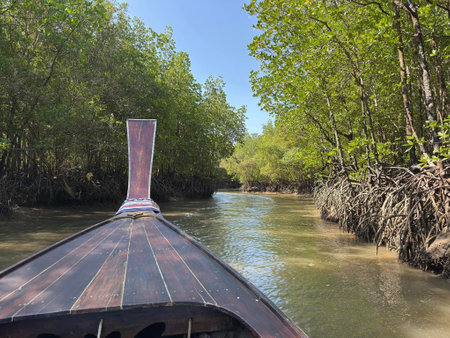 A tranquil journey unfolds while navigating the winding waterways surrounded by lush green mangrove trees. Sunlight filters through the leaves, creating a captivating atmosphere.の写真素材