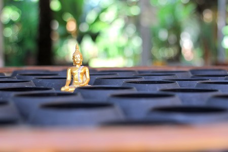 buddha statueの写真素材