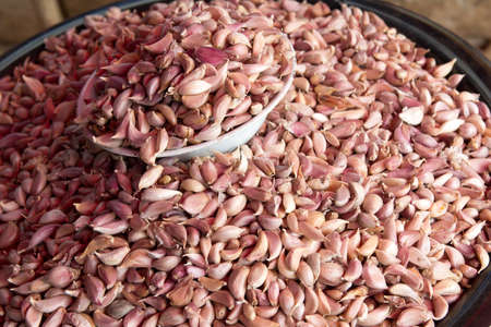 garlicの写真素材