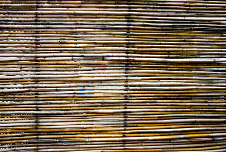 Bamboo surface