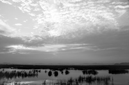 black & white Beautiful sunset at the lakeの写真素材