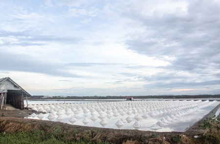 Saline in thailandの写真素材