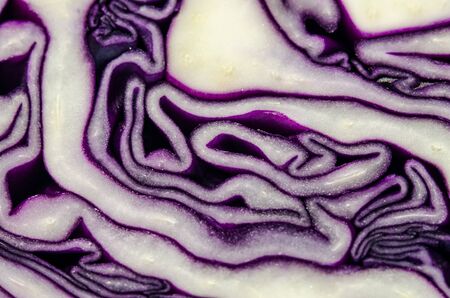 Purple cauliflower is vegetableの写真素材