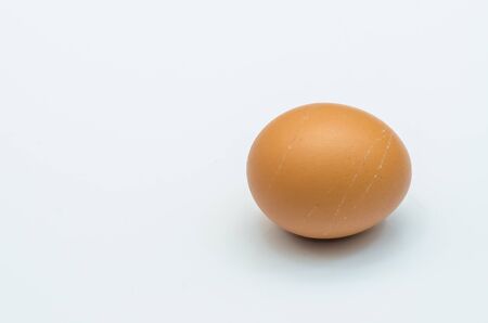Egg in hand on a white background.
