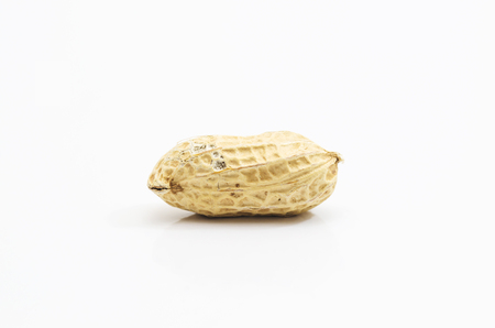 groundnut on a white background.