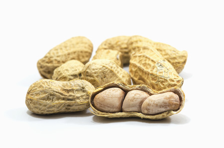 groundnut on a white background.