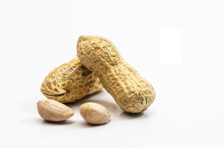 groundnut on a white background.