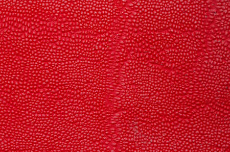 leather texture background surfaceの写真素材