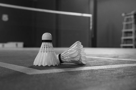 shuttlecock on Badminton court Soft focus imagesの写真素材