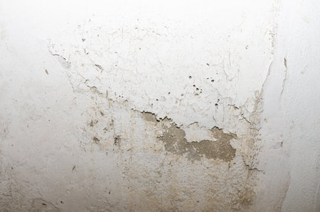 Wall color caused by the gliding of moisture.
