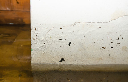 Wall color caused by the gliding of moisture.の写真素材