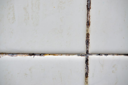 The tiles have mold stains in their grooves