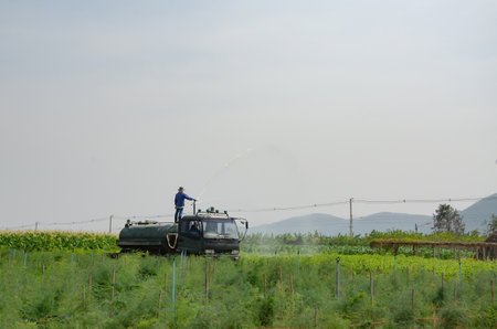 Thailand is a country that practices agricultureの写真素材