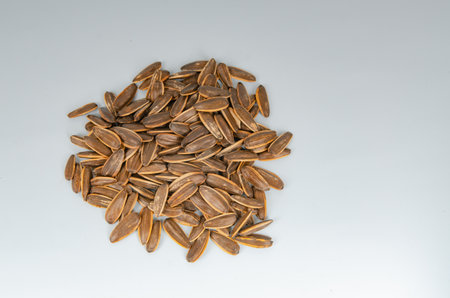 sunflower seeds close up  sunflower seeds