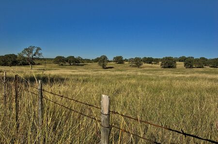 Meadow or field with oak trees and fence in the foregroundの写真素材