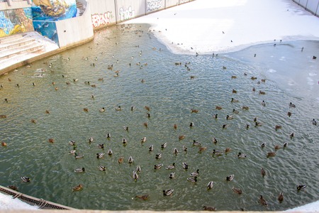 View of the Kazan Kremlin Kazan, Ducks on the waterのeditorial素材