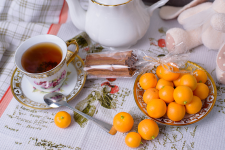 Decorative orange mandarins, tangerines, cup of tea, home mandarins, small mandarines, front viewの写真素材