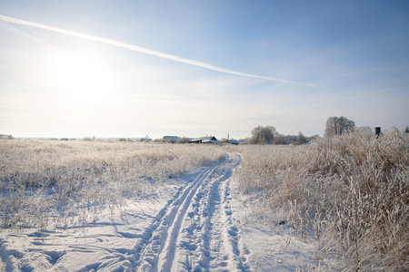 Winter landscape, trees and grass with hoarfrost frosty, village roadの写真素材