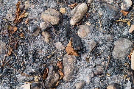 ash, burnt grassの写真素材