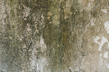 dumped wallの写真素材