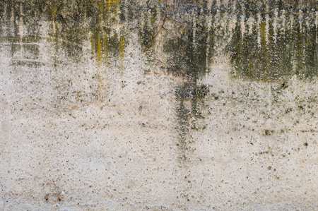 dumped wallの写真素材