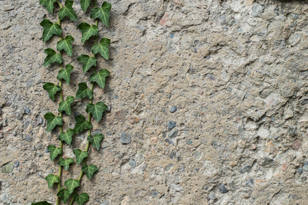 rough grungy wallの写真素材